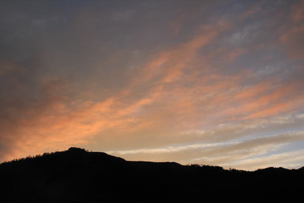 夏の思い出(山の朝焼け・夏の山野草)